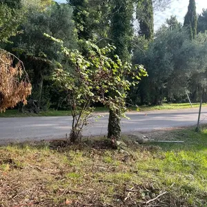 Земельный участок в Corfu, фото 4