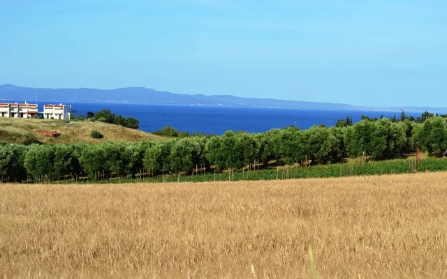 Земельный участок в Kassandra Municipality