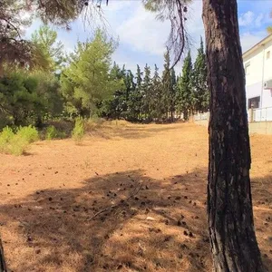 Вилла в Македония и Фракия, фото 3