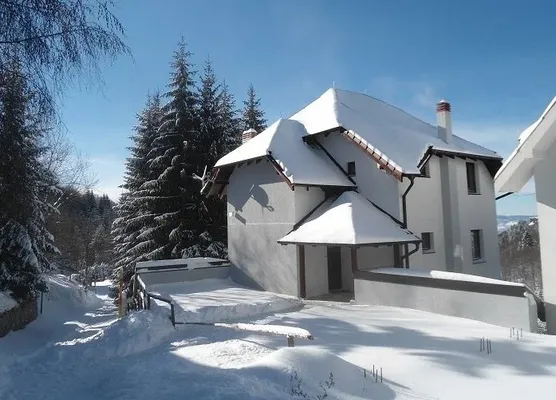 Вилла в Копаоник