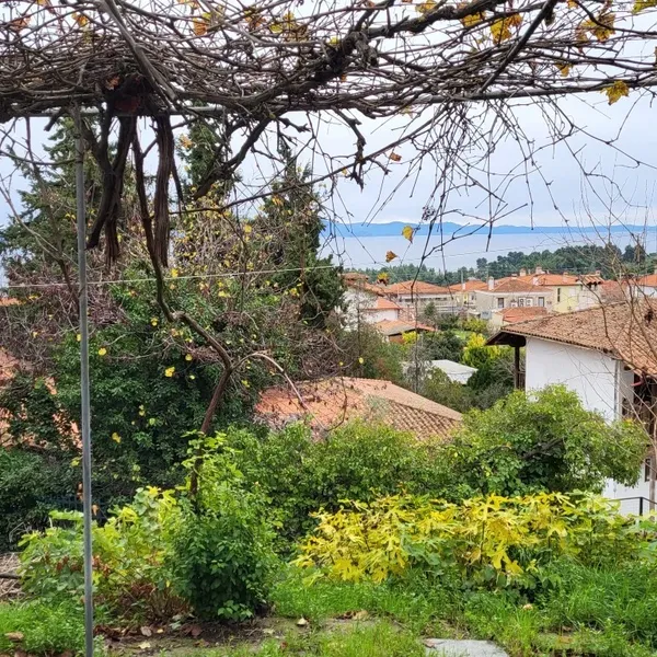 Отдельный дом в Kassandra Municipality, фото 1