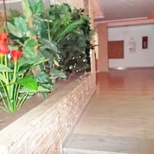 Квартира в Торревьеха, фото 3
