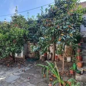 Отдельный дом в Ситониа, фото 4
