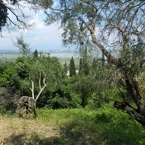 Земельный участок в Corfu, фото 2