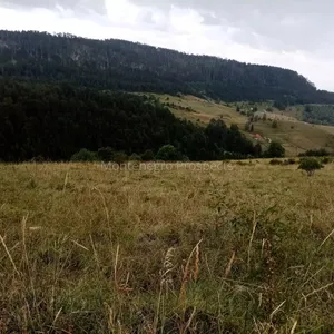 Земельный участок в Плевля, фото 3