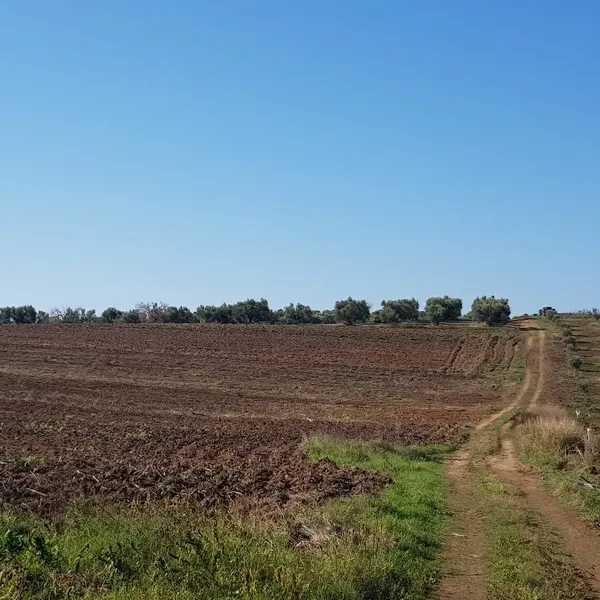 Земельный участок в Kassandra Municipality, фото 2