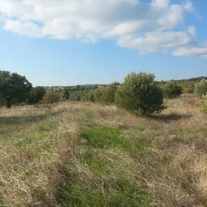 Земельный участок в Ситониа, фото 4