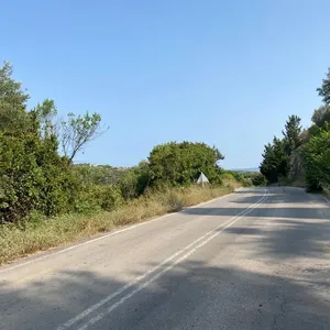 Земельный участок в Вамо, фото 4