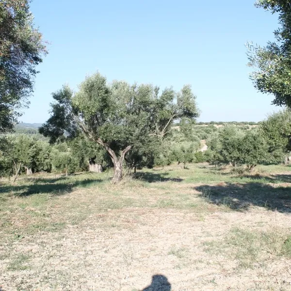 Земельный участок в Kassandra Municipality, фото 1