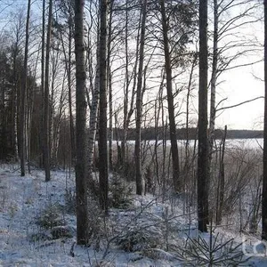 Земельный участок в Руоколахти, фото 3
