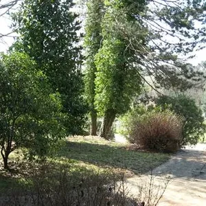 Вилла в Капаннори, фото 4