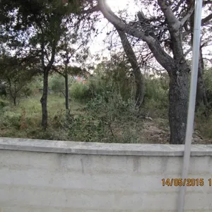 Земельный участок в Вир, фото 4