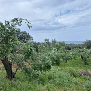 Земельный участок в Corfu, фото 4