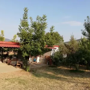 Отдельный дом в Аполлония, фото 4