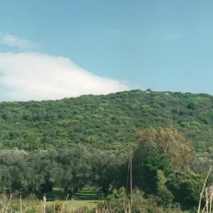 Земельный участок в Corfu, фото 3
