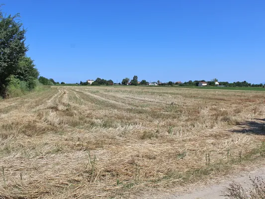 Земельный участок в Коринос