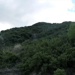 Земельный участок в Kassandra Municipality, фото 5