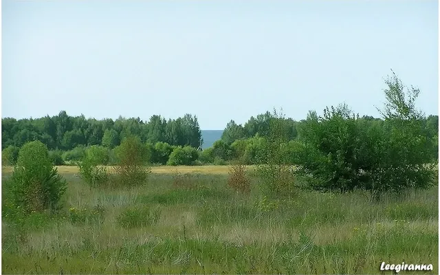 Земельный участок в Сыйтме