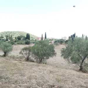Земельный участок в Corfu, фото 5