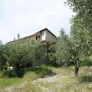 Мезонет в Kassandra Municipality, фото 2
