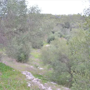 Земельный участок в Corfu, фото 4
