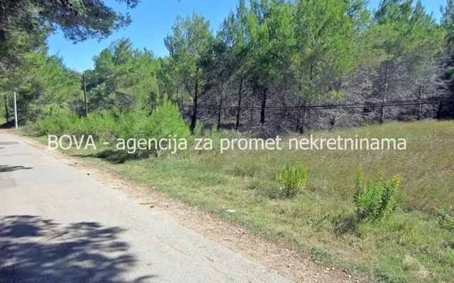 Земельный участок в Сабунике