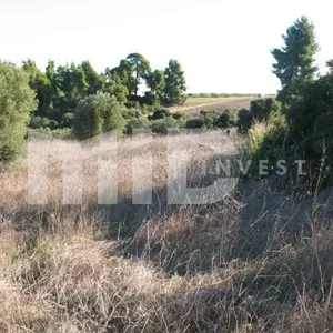 Земельный участок в Каллифея (Кассандра), фото 2