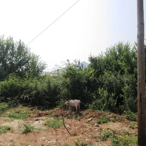 Земельный участок в Тасос, фото 3