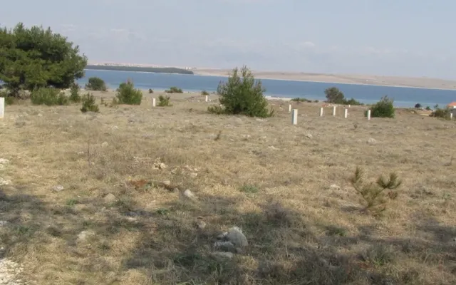 Земельный участок в Вир
