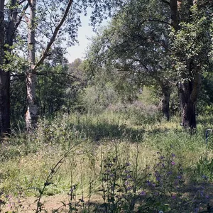 Земельный участок в Kassandra Municipality, фото 5