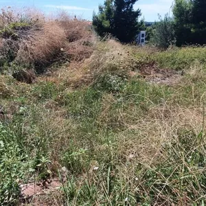 Земельный участок в Kassandra Municipality, фото 2
