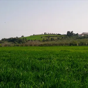 Земельный участок в Kassandra Municipality, фото 3