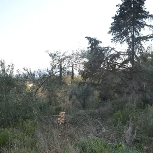 Земельный участок в Corfu, фото 4