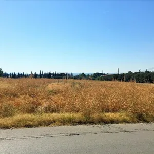Земельный участок в Терми, фото 3