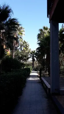 Квартира в Катания