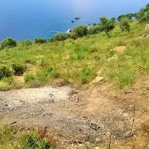 Земельный участок в Халкидики, фото 4