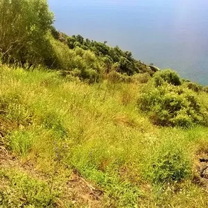 Земельный участок в Халкидики, фото 2