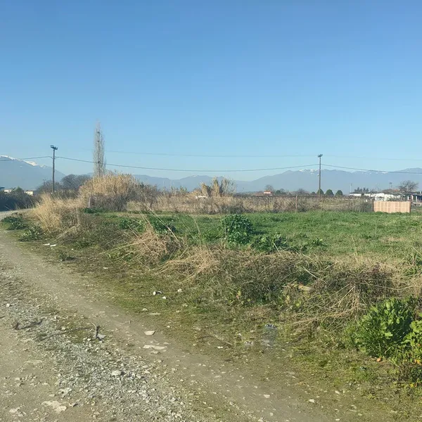 Земельный участок в Катерини, фото 1