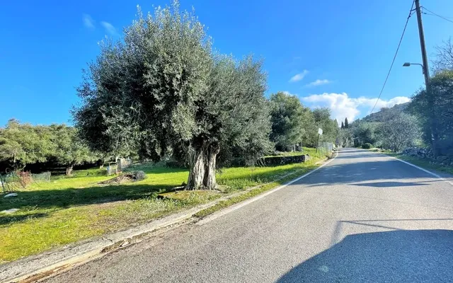 Земельный участок в Corfu