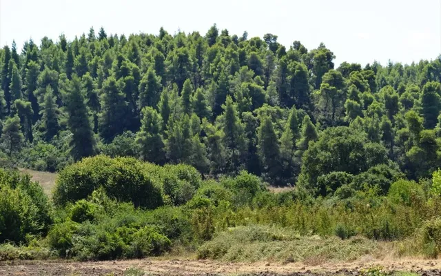Земельный участок в Kassandra Municipality