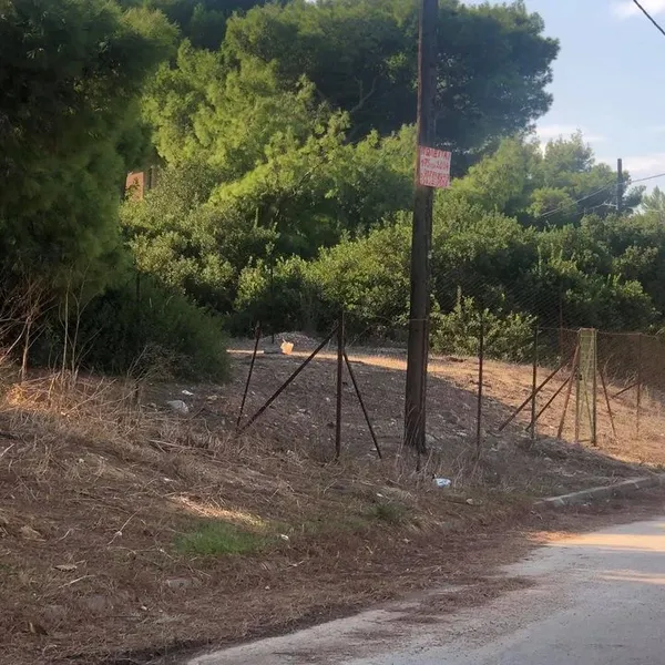 Земельный участок в Рафина, фото 1