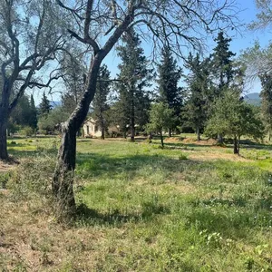 Земельный участок в Corfu, фото 2