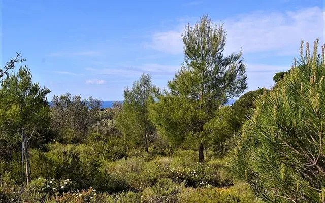 Земельный участок в Corfu