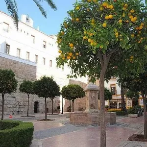 Квартира в Марбелья, фото 2