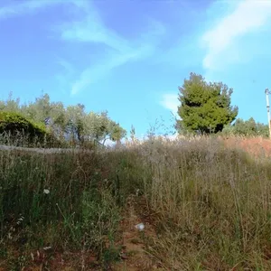 Земельный участок в Kassandra Municipality, фото 2