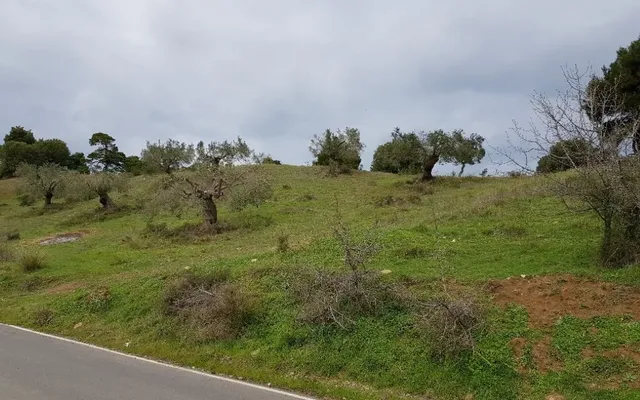 Земельный участок в Kassandra Municipality