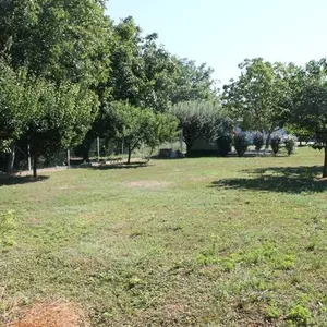 Отдельный дом в Хевиз, фото 4