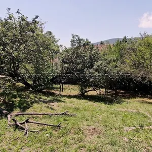 Земельный участок в Херцег-Нови, фото 5
