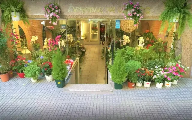 Коммерческая недвижимость в European Centre for the Development of Vocational Training