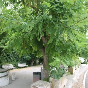 Отель в Куатретондета, фото 3